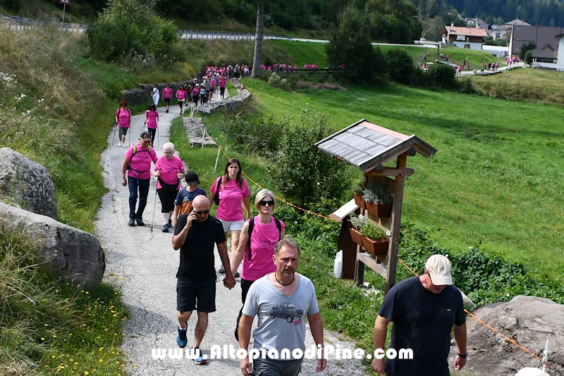 Camminata in Rosa - Centrale Brusago - settembre 2024
