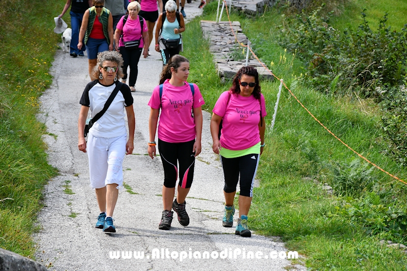 Camminata in Rosa - Centrale Brusago - settembre 2024