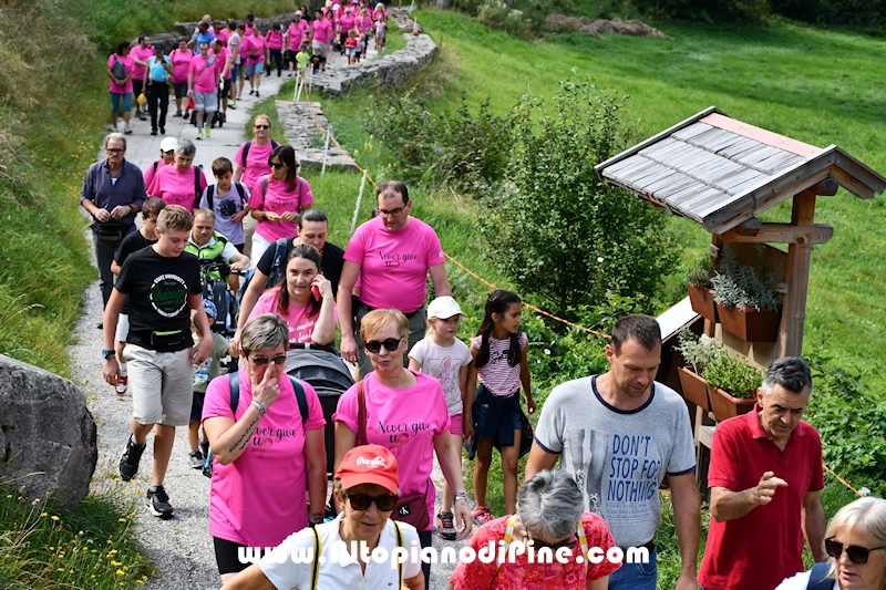 Camminata in Rosa - Centrale Brusago - settembre 2024