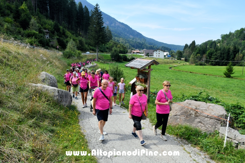 Camminata in Rosa - Centrale Brusago - settembre 2024