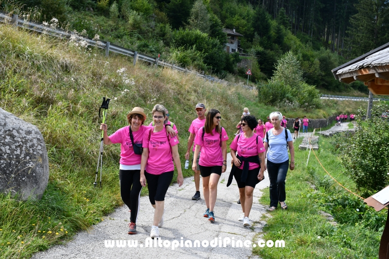 Camminata in Rosa - Centrale Brusago - settembre 2024