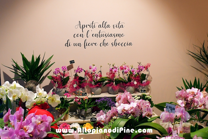 La Bottega dei Fiori - inaugurazione marzo 2024 - Baselga di Piné 