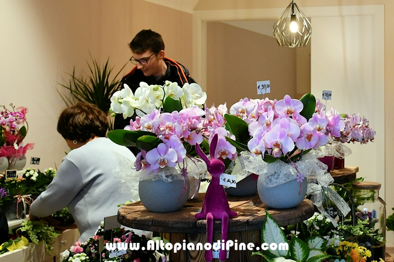 La Bottega dei Fiori - inaugurazione marzo 2024 - Baselga di Piné 