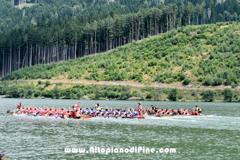 Dragon Festival Piné 2025 - Baselga di Pine'