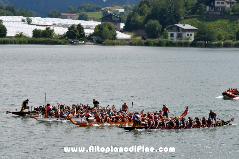 Dragon Festival Piné 2025 - Baselga di Pine'