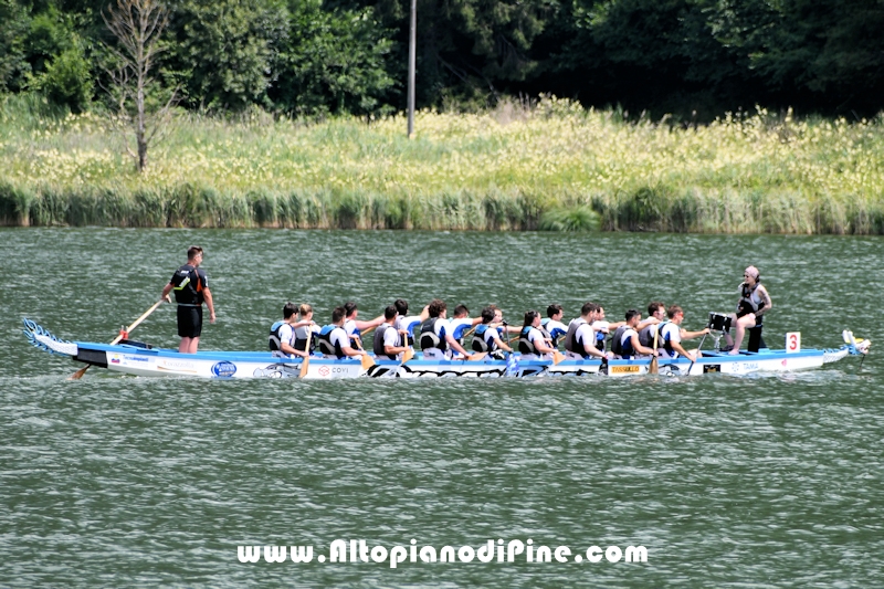 Dragon Festival Piné 2025 - Baselga di Pine'