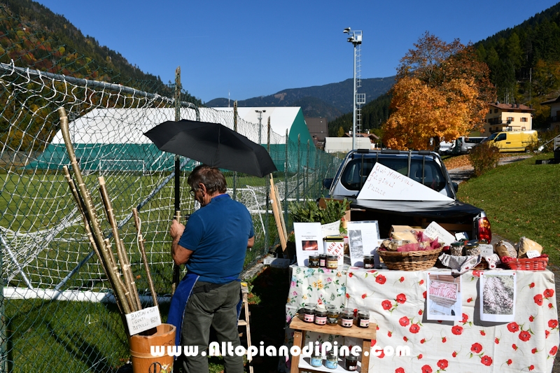 18° mostra provinciale Capra Pezzata Mochena - Centrale di Bedollo 2025