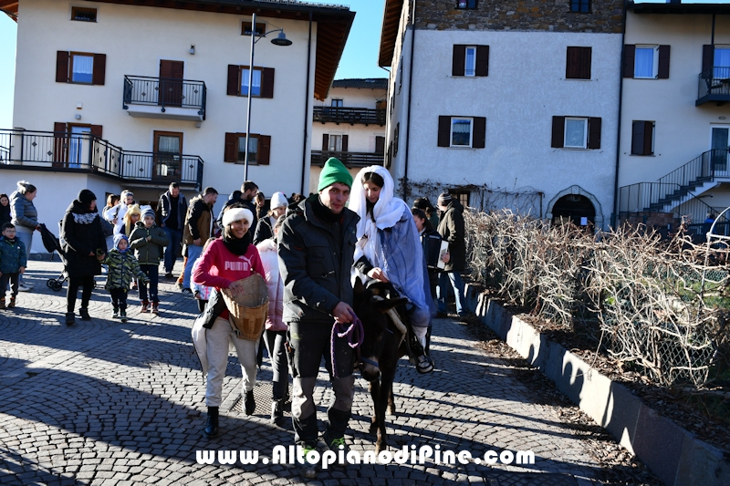 Tressilla S. Lucia 2025