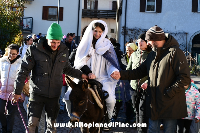 Tressilla S. Lucia 2025