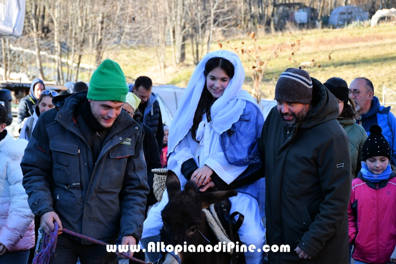 Tressilla S. Lucia 2025