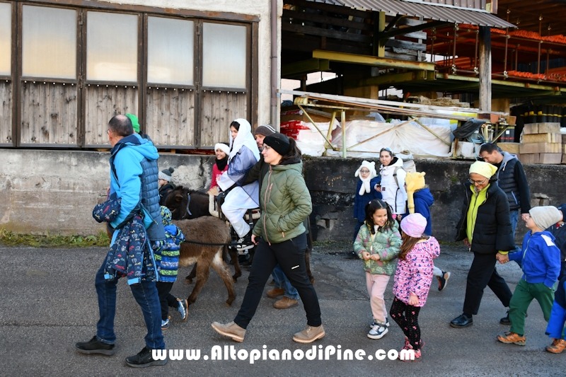 Tressilla S. Lucia 2025