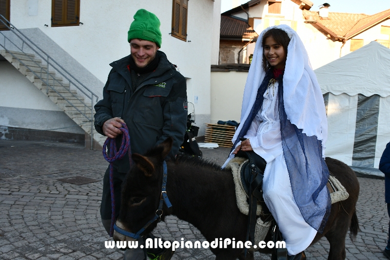 Tressilla S. Lucia 2025