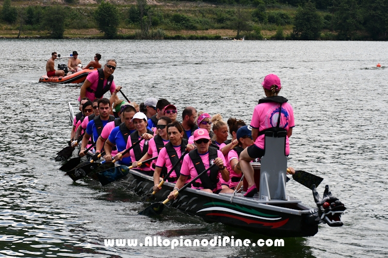 Dragon Festival Pin&eacute; 2026 - Baselga di Pine'