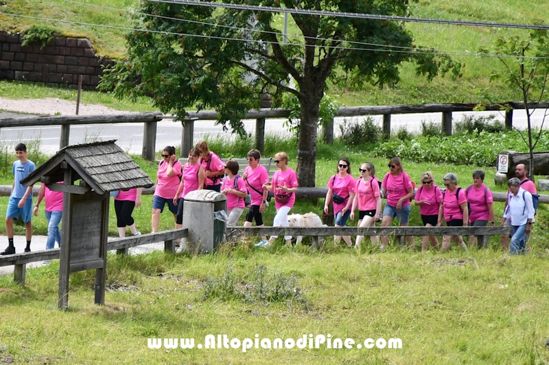 Foto ANDREA NARDON per www.altopianodipine.com Camminata in Rosa - Centrale Brusago -giugno 2026