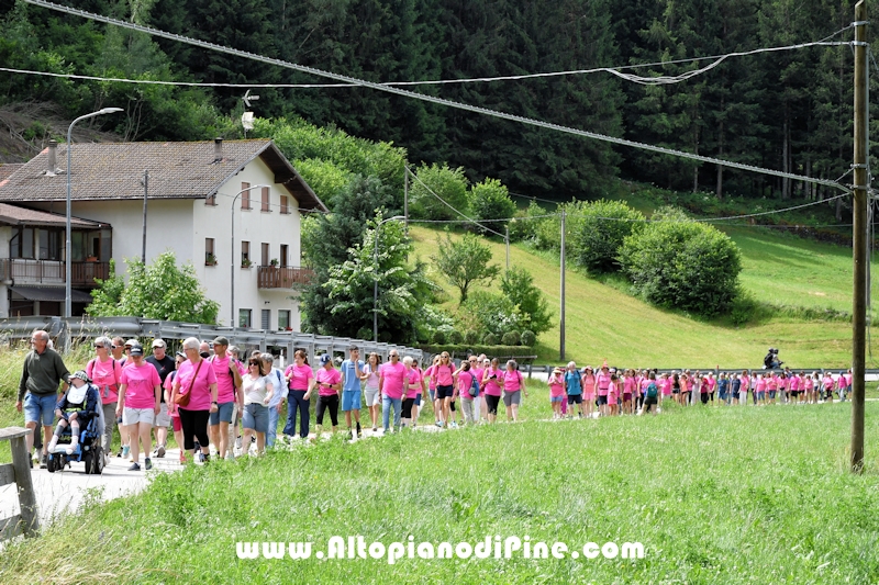 Foto ANDREA NARDON per www.altopianodipine.com Camminata in Rosa - Centrale Brusago -giugno 2026