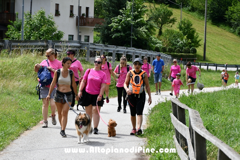Foto ANDREA NARDON per www.altopianodipine.com Camminata in Rosa - Centrale Brusago -giugno 2026