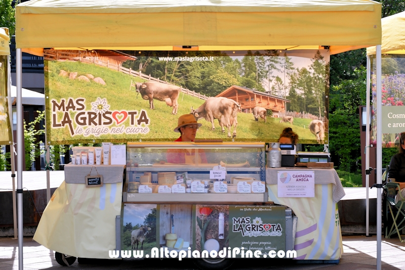 Mercato Contadino 2026 Baselga di Piné Foto ANDREA NARDON per www.altopianodipine.com Mercato Contadino 2026 Baselga di Pine'