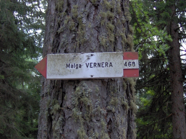 Strada Montesover - Malga Vernera [fotopercorsi/cartello_malgavernera1.jpg]