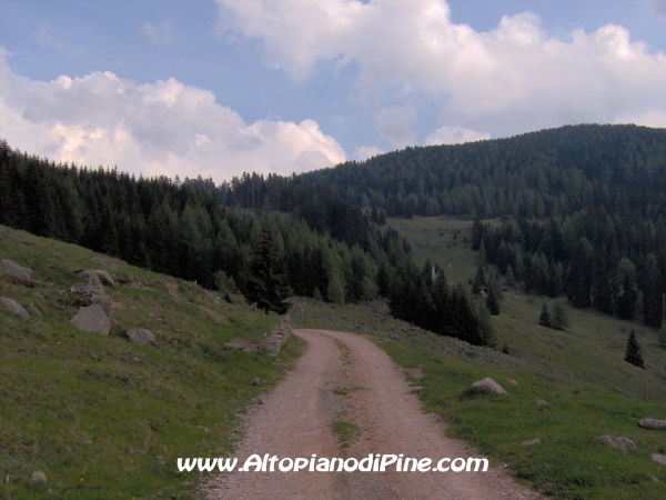 Strada Malga Vernera - Chiesetta Alpina [fotopercorsi/strada_malgavernera_chiesettaalpina1.jpg]