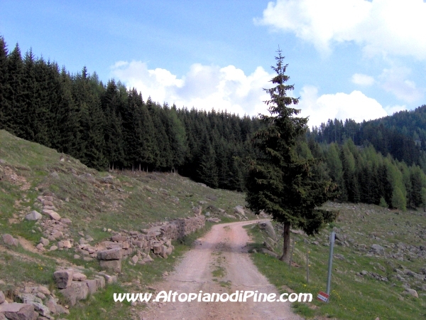 Strada Malga Vernera - Chiesetta Alpina [fotopercorsi/strada_malgavernera_chiesettaalpina2.jpg]