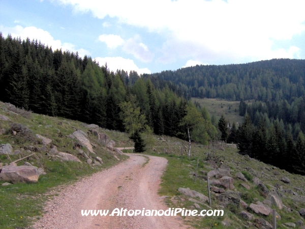 Strada Malga Vernera - Chiesetta Alpina [fotopercorsi/strada_malgavernera_chiesettaalpina3.jpg]