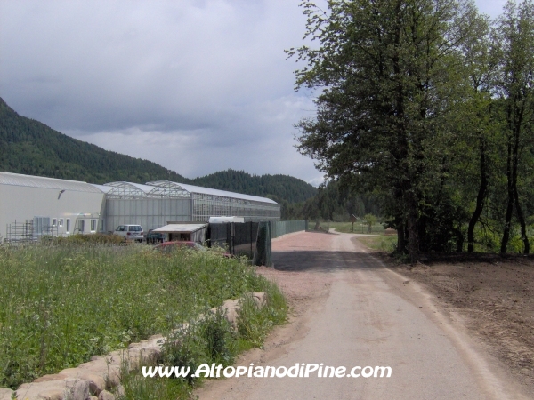 Strada Meie-Faida [fotopercorsi/strada_meie-faida1.jpg]