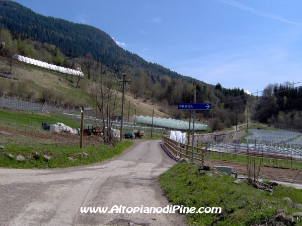 Incrocio per la localit Prada [fotopercorsi/strada_meie-faida8.jpg]