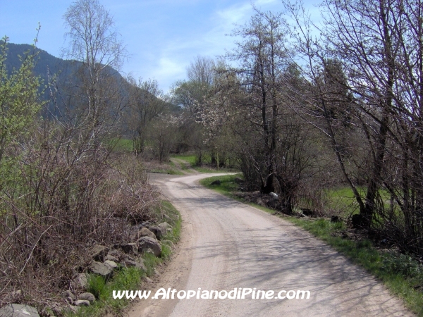 Strada Miola-Meie [fotopercorsi/strada_miola-meie2.jpg]