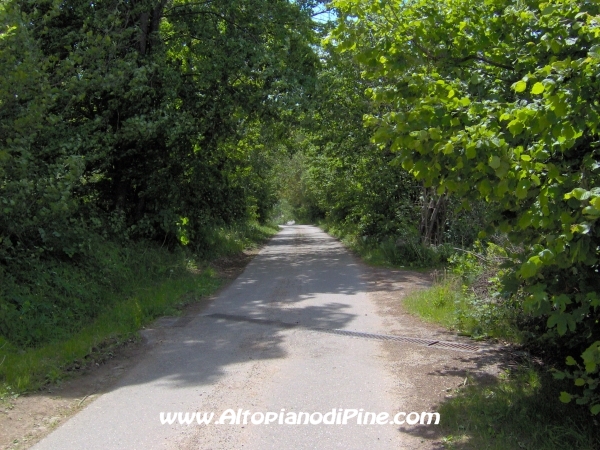 Strada Miola-Meie [fotopercorsi/strada_miola-meie4.jpg]