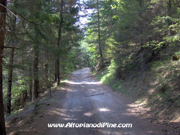 Strada Montesover - Malga Vernera [fotopercorsi/strada_montesovermalgavernera10.jpg]