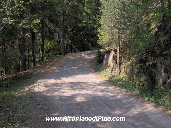 Strada Montesover - Malga Vernera [fotopercorsi/strada_montesovermalgavernera11.jpg]
