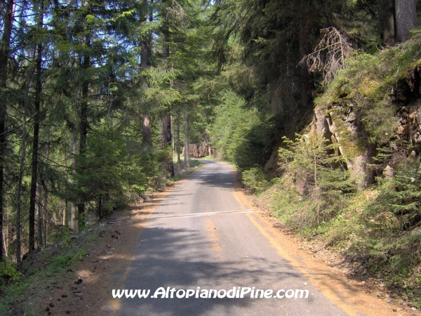 Strada Montesover - Malga Vernera [fotopercorsi/strada_montesovermalgavernera12.jpg]