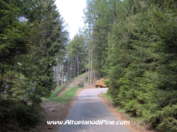 Strada Montesover - Malga Vernera [fotopercorsi/strada_montesovermalgavernera14.jpg]