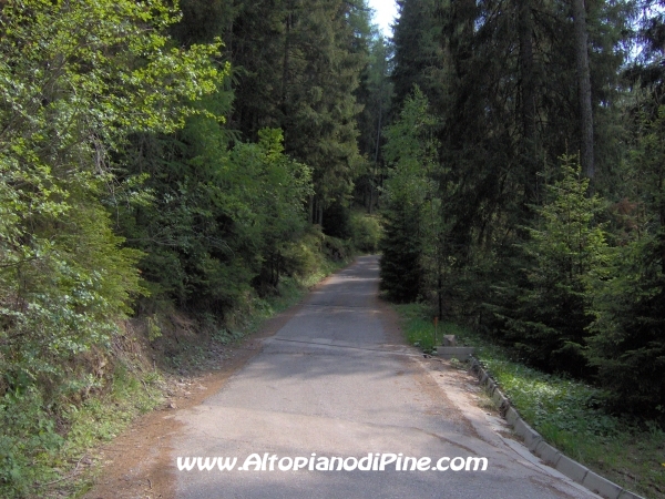 Strada Montesover - Malga Vernera [fotopercorsi/strada_montesovermalgavernera15.jpg]