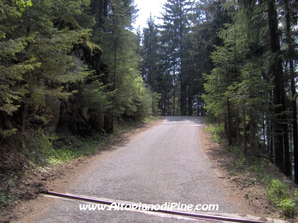Strada Montesover - Malga Vernera [fotopercorsi/strada_montesovermalgavernera16.jpg]
