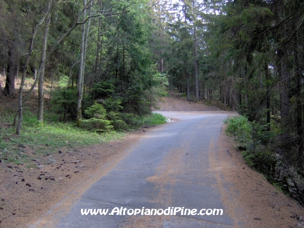 Strada Montesover - Malga Vernera [fotopercorsi/strada_montesovermalgavernera18.jpg]