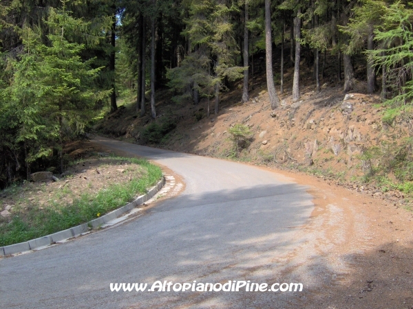 Strada Montesover - Malga Vernera [fotopercorsi/strada_montesovermalgavernera19.jpg]