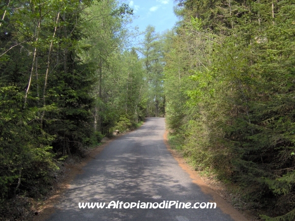 Strada Montesover - Malga Vernera [fotopercorsi/strada_montesovermalgavernera20.jpg]