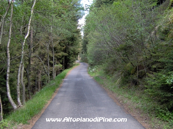 Strada Montesover - Malga Vernera [fotopercorsi/strada_montesovermalgavernera21.jpg]