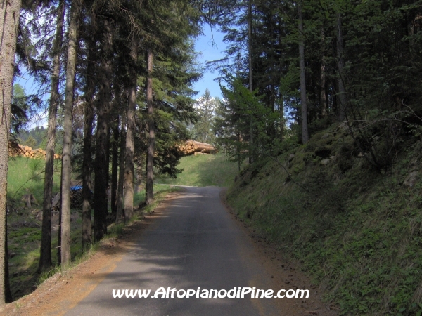 Strada Montesover - Malga Vernera [fotopercorsi/strada_montesovermalgavernera22.jpg]