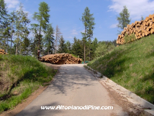 Strada Montesover - Malga Vernera [fotopercorsi/strada_montesovermalgavernera23.jpg]