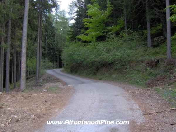 Strada Montesover - Malga Vernera [fotopercorsi/strada_montesovermalgavernera25.jpg]