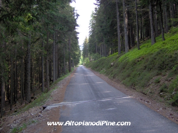 Strada Montesover - Malga Vernera [fotopercorsi/strada_montesovermalgavernera26.jpg]