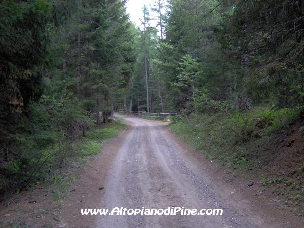 Strada Montesover - Malga Vernera [fotopercorsi/strada_montesovermalgavernera27.jpg]