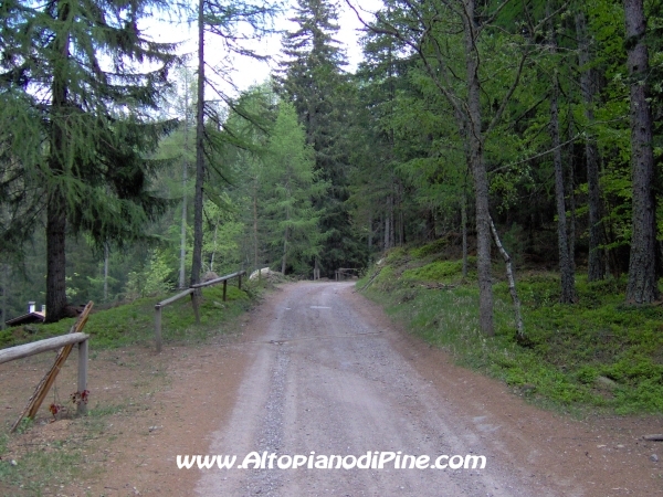 Strada Montesover - Malga Vernera [fotopercorsi/strada_montesovermalgavernera28.jpg]