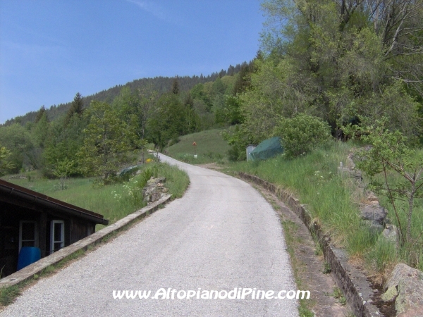 Strada Montesover - Malga Vernera [fotopercorsi/strada_montesovermalgavernera3.jpg]
