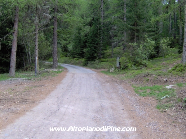 Strada Montesover - Malga Vernera [fotopercorsi/strada_montesovermalgavernera30.jpg]