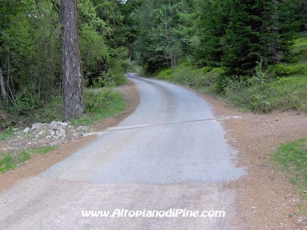 Strada Montesover - Malga Vernera [fotopercorsi/strada_montesovermalgavernera31.jpg]