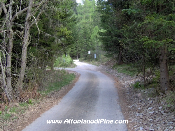 Strada Montesover - Malga Vernera [fotopercorsi/strada_montesovermalgavernera33.jpg]