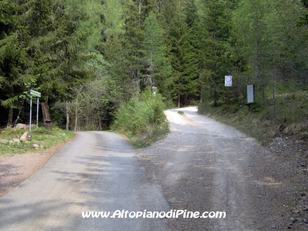 Strada Montesover - Malga Vernera [fotopercorsi/strada_montesovermalgavernera34.jpg]